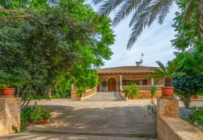 Villa à Buger - Dofi Blau, Villa 5StarsHome Mallorca