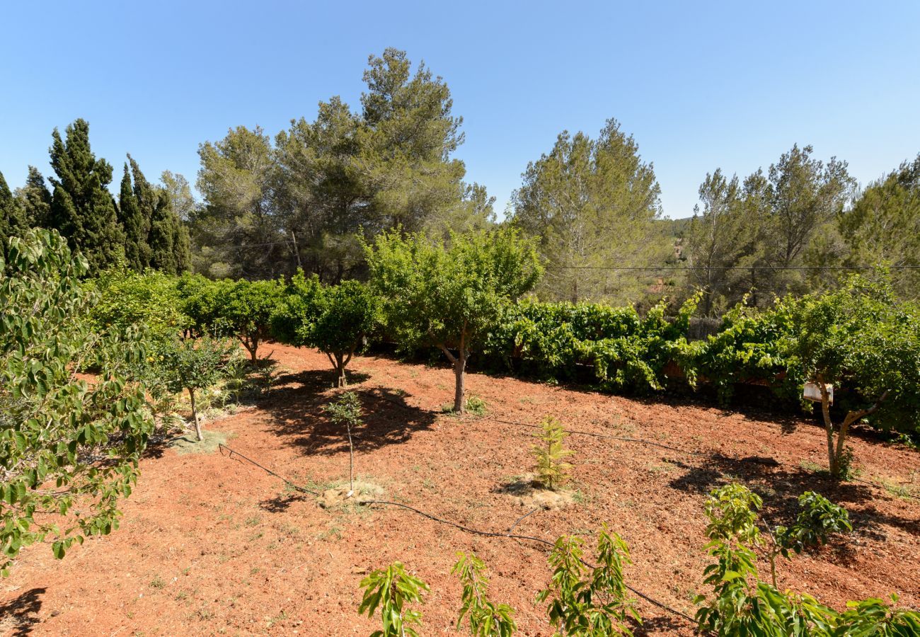 Gîte Rural à San Rafael de Sa Creu/ Sant Rafael de Sa Creu - Can Safres Raco, Finca 5StarsHome Ibiza