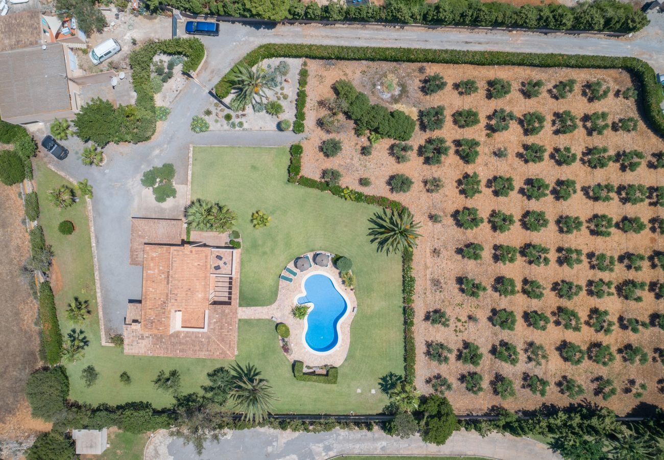 Villa à Felanitx - S'hort d'Or, Finca 5StarsHome Mallorca