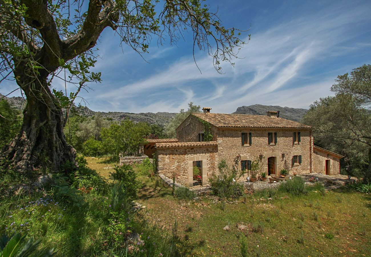 Gîte Rural à Pollensa / Pollença - Mon Mallorqui, Finca 5StarsHome Mallorca
