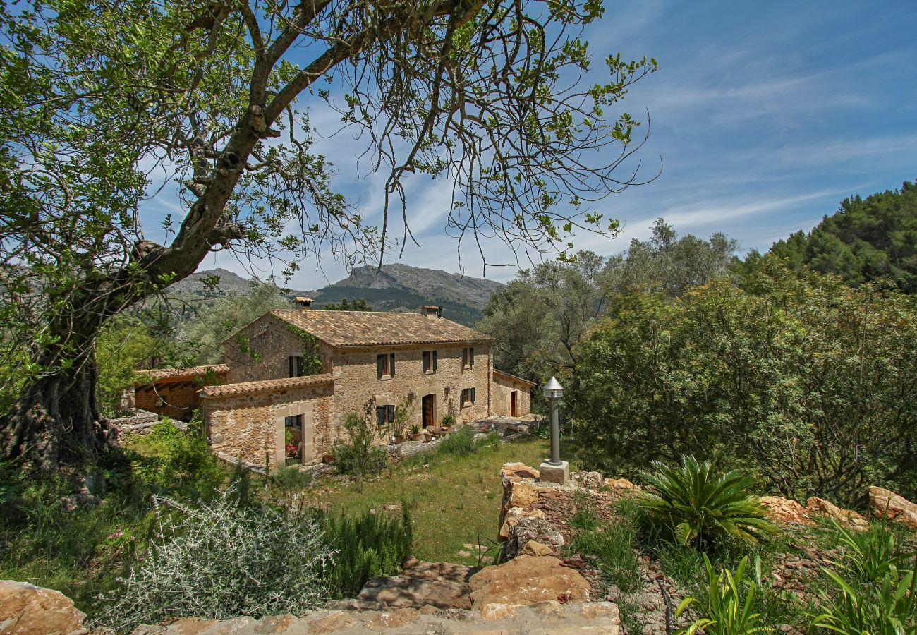 Gîte Rural à Pollensa / Pollença - Mon Mallorqui, Finca 5StarsHome Mallorca