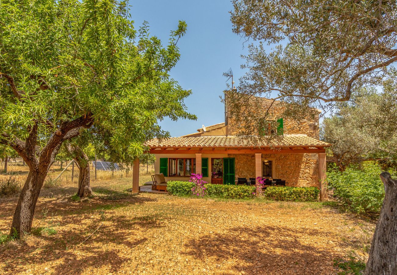 Gîte Rural à Binissalem - Alaroters, Villa-Finca 5StarsHome Mallorca
