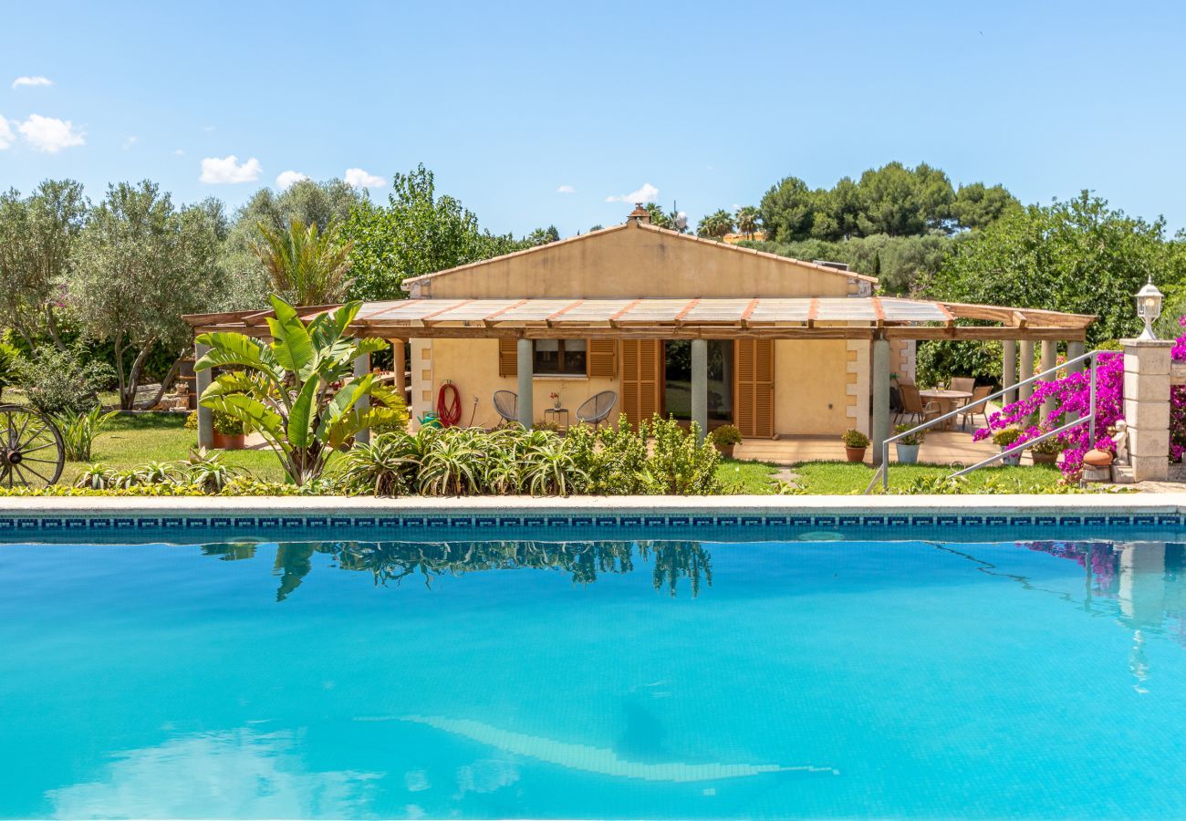 Villa à Muro - Can Bea, Villa 5StarsHome Mallorca