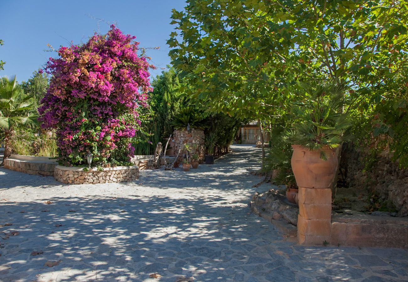 Domaine à Santa Maria del Cami - Oasis Vent, Finca 5StarsHome Mallorca