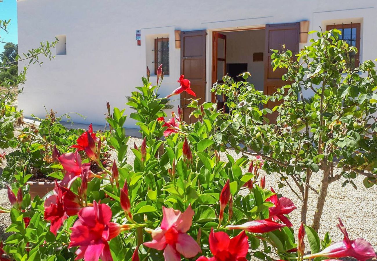 Domaine à Santa Gertrudis - Sefos, Villa 5StarsHome Ibiza