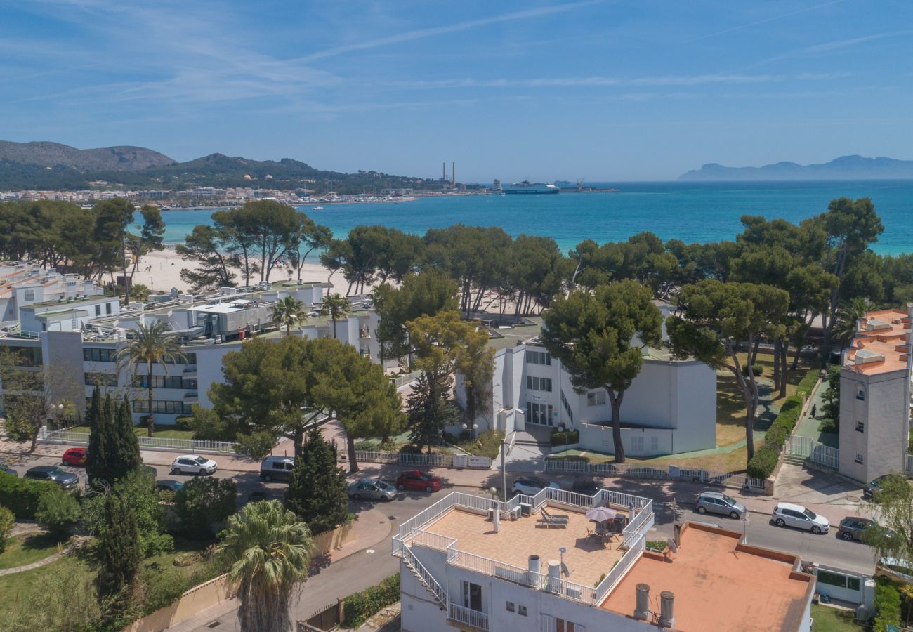 Appartement à Puerto de Alcudia - Assym, Apartment 5StarsHome Mallorca